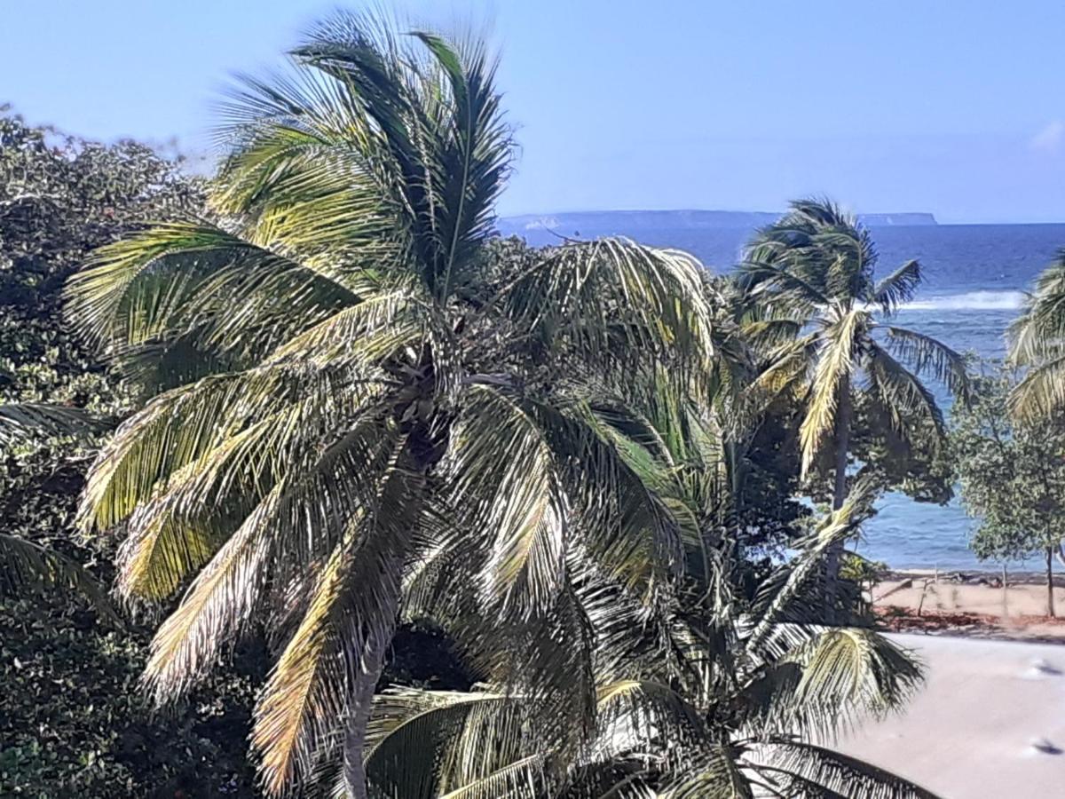 Studio Vue Sur Mer Le Moule Bagian luar foto